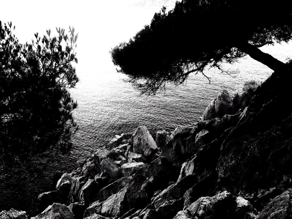 Cliff over water with tree branches