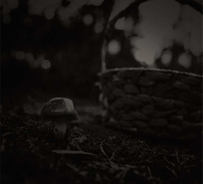 basket with a mushroom