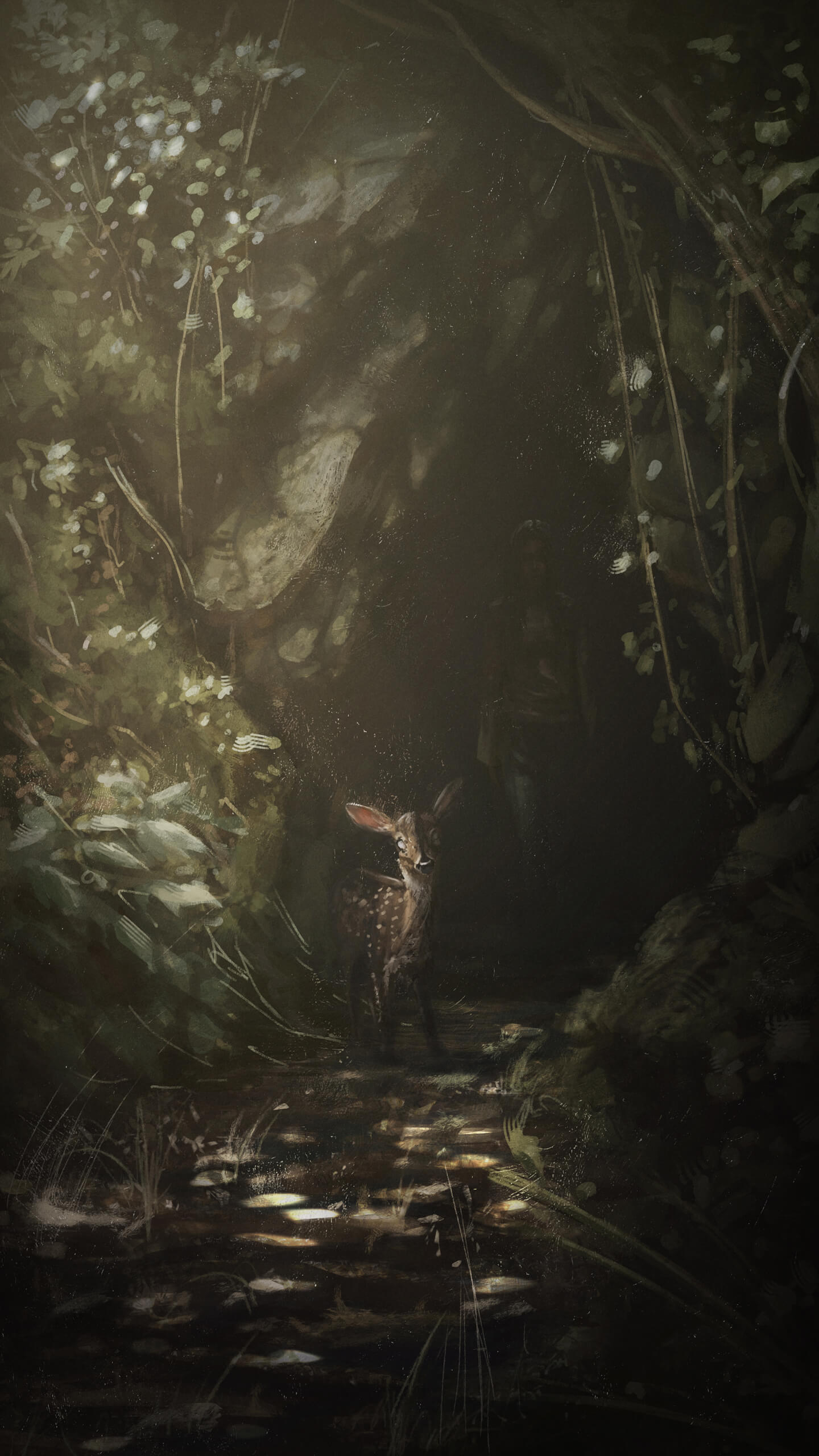a fawn standing in a shaft of light in a dark wooded ravine above a stream