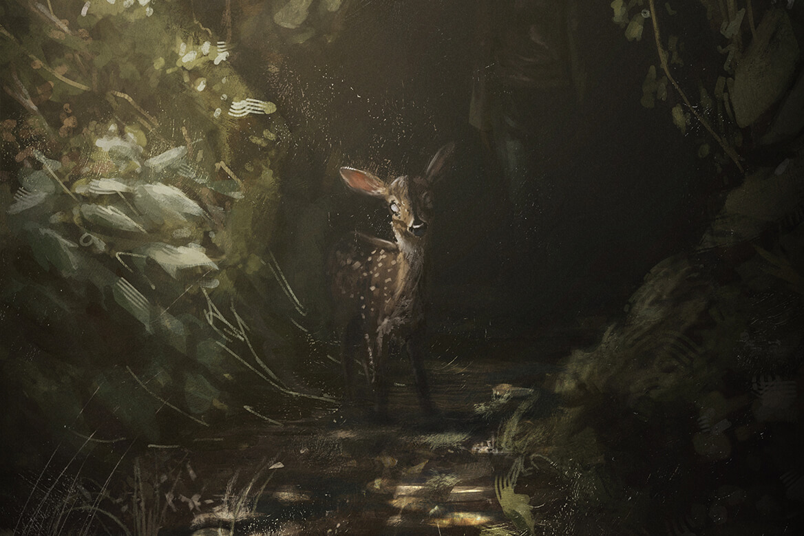 a fawn standing in a shaft of light in a dark wooded ravine above a stream